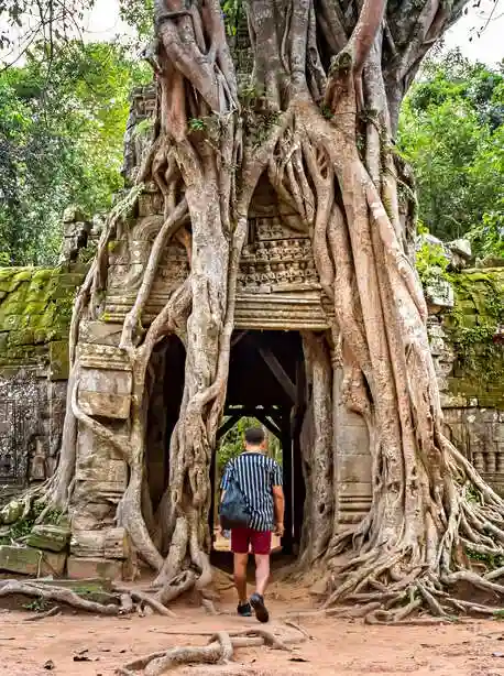 Ta Prohm Temple