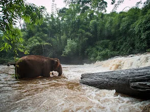 Mondulkiri