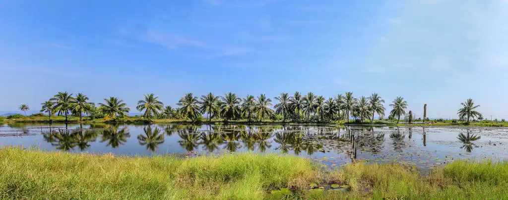 Svay Rieng