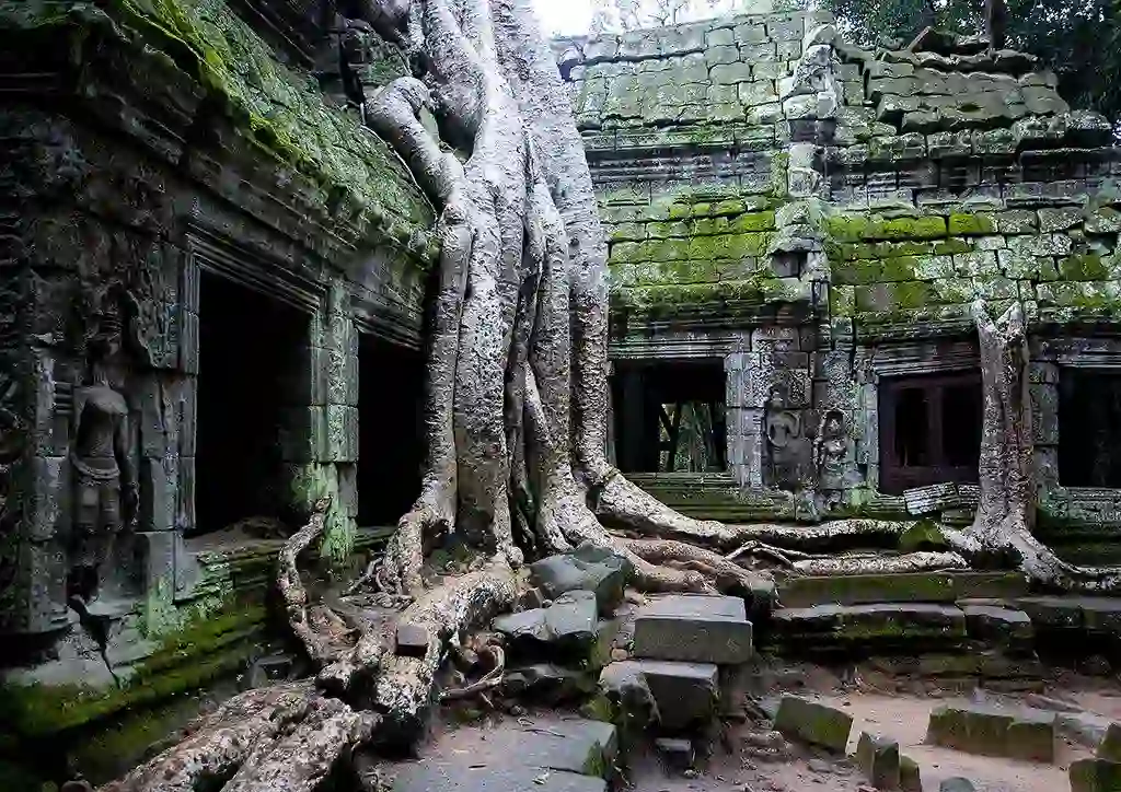 Siem Reap – Angkor Wat – Silk Farm – 5Days