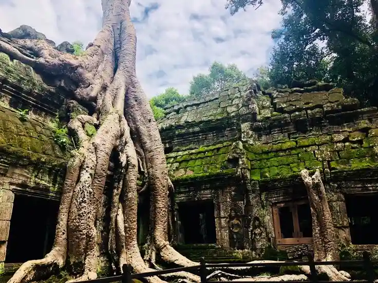 Siem Reap – Angkor Wat – Silk Farm – 4Days
